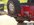 4wdmetalworks rear.jpg