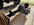 IMG_0550.jpeg