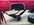 IMG_0568.jpeg