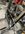IMG_2093.jpeg