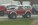 IMG_20241123_085433528~2.jpg