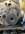 IMG_2100.jpeg