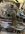 IMG_2103.jpeg