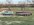 IMG_6611.jpeg