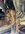 IMG_3366.jpeg