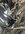 IMG_3367.jpeg