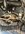 IMG_3368.jpeg