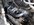 IMG_0672.jpeg