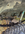1732649643391.png