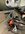 IMG_9373.jpeg