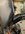 IMG_9371.jpeg