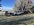 IMG_3626.jpeg