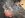 videos 026.jpg