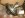 14 bolt carrier.JPG