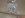 lugs.JPG