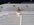 20241129_122044_resized.jpg