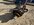 IMG_1484.jpeg
