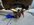 IMG_1485.jpeg