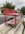 IMG_1658.jpeg