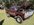 IMG_8035.jpeg