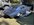 IMG_8040.jpeg