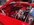IMG_8048.jpeg