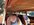 IMG_8051.jpeg