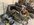 IMG_2175.jpeg