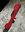 IMG_2077.jpeg
