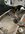 IMG_9378.jpeg