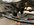 IMG_9379.jpeg