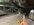 IMG_9380.jpeg