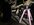 IMG_1517.jpeg