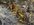 18480C9C-BD28-4329-AE00-EB1E71F1B75A.jpeg
