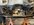 IMG_9389.jpeg
