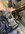 IMG_2241.jpeg