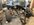 IMG_9395.jpeg