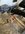 IMG_9396.jpeg