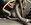 IMG_2145.jpeg