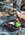 IMG_2147.jpeg