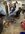 IMG_9404.jpeg