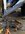 IMG_9405.jpeg