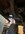 IMG_9407.jpeg