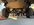 IMG_1531.jpeg