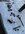 IMG_2329.jpeg