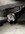 IMG_2332.jpeg