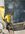 IMG_6603.jpeg