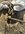 IMG_6648.jpeg