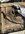 IMG_6647.jpeg