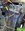 IMG_2182.jpeg